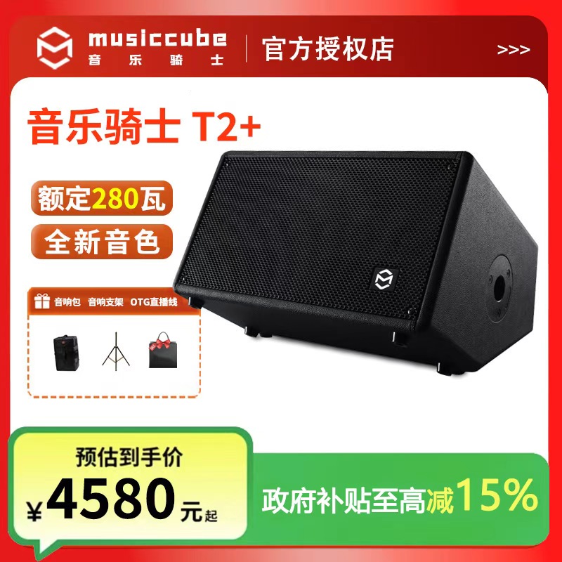 T2+户外乐器无线音响网红直播街头路演乐器弹唱k歌