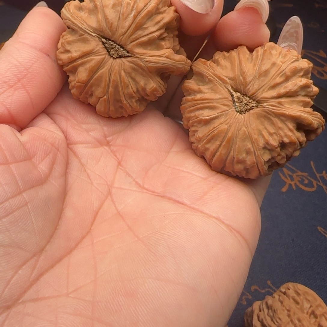 核桃矫****?43全品闷白狮子头