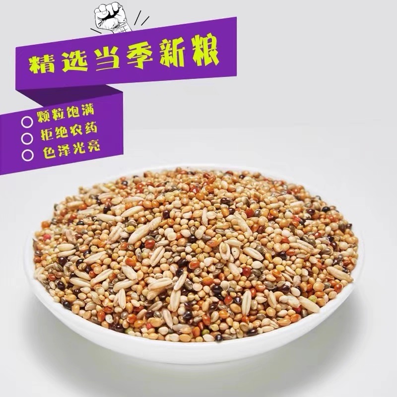 小型鹦鹉通用混合鸟粮含五色黍子谷子适合玄凤虎皮等
