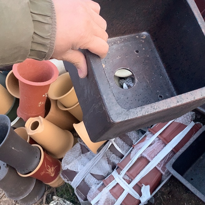 紫砂我要不就是你一