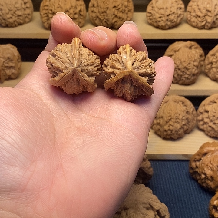 核桃31盘山三棱福利核桃