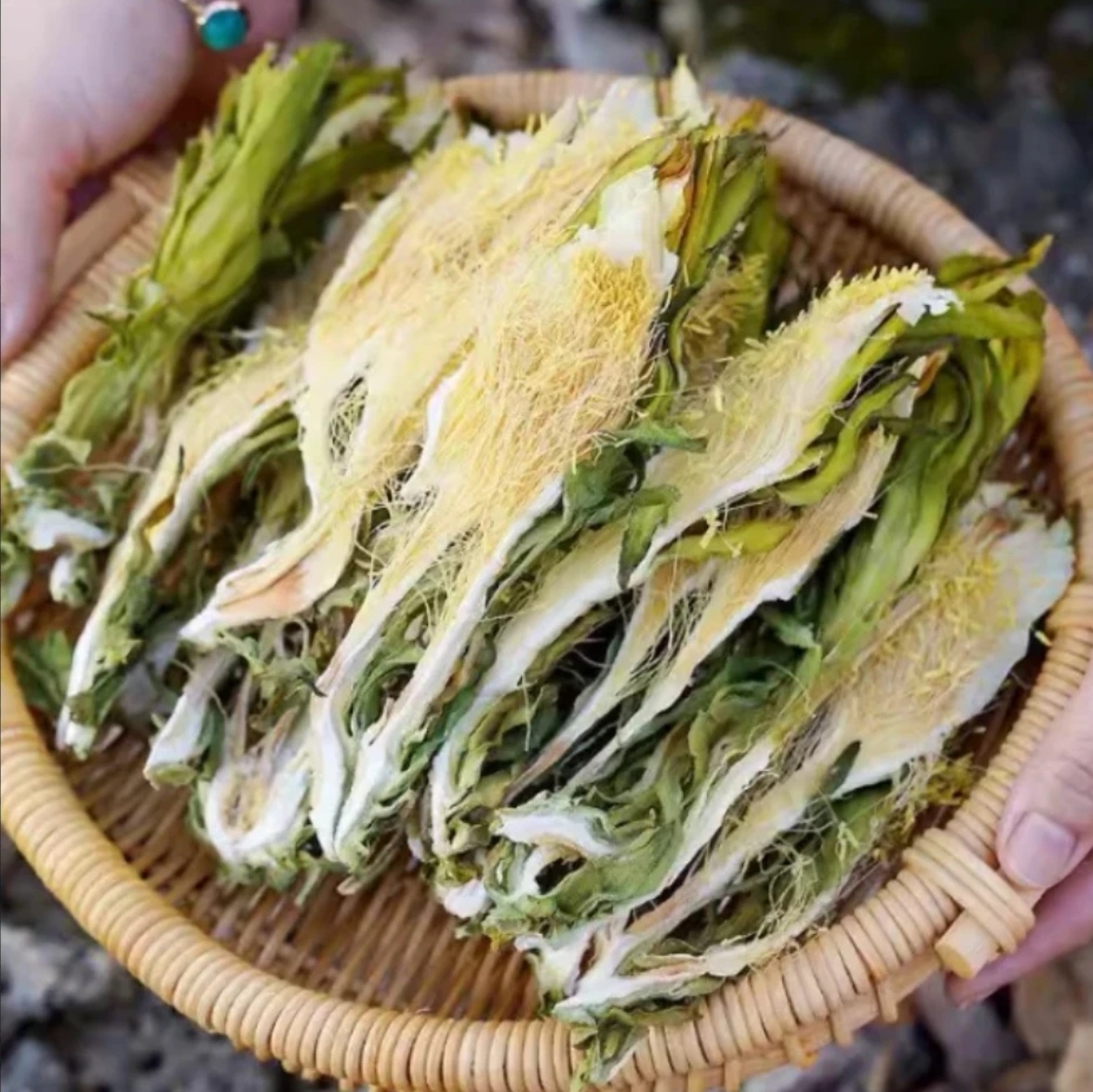 精选高山塔格依力斯雪莲花可用于泡水、煲汤