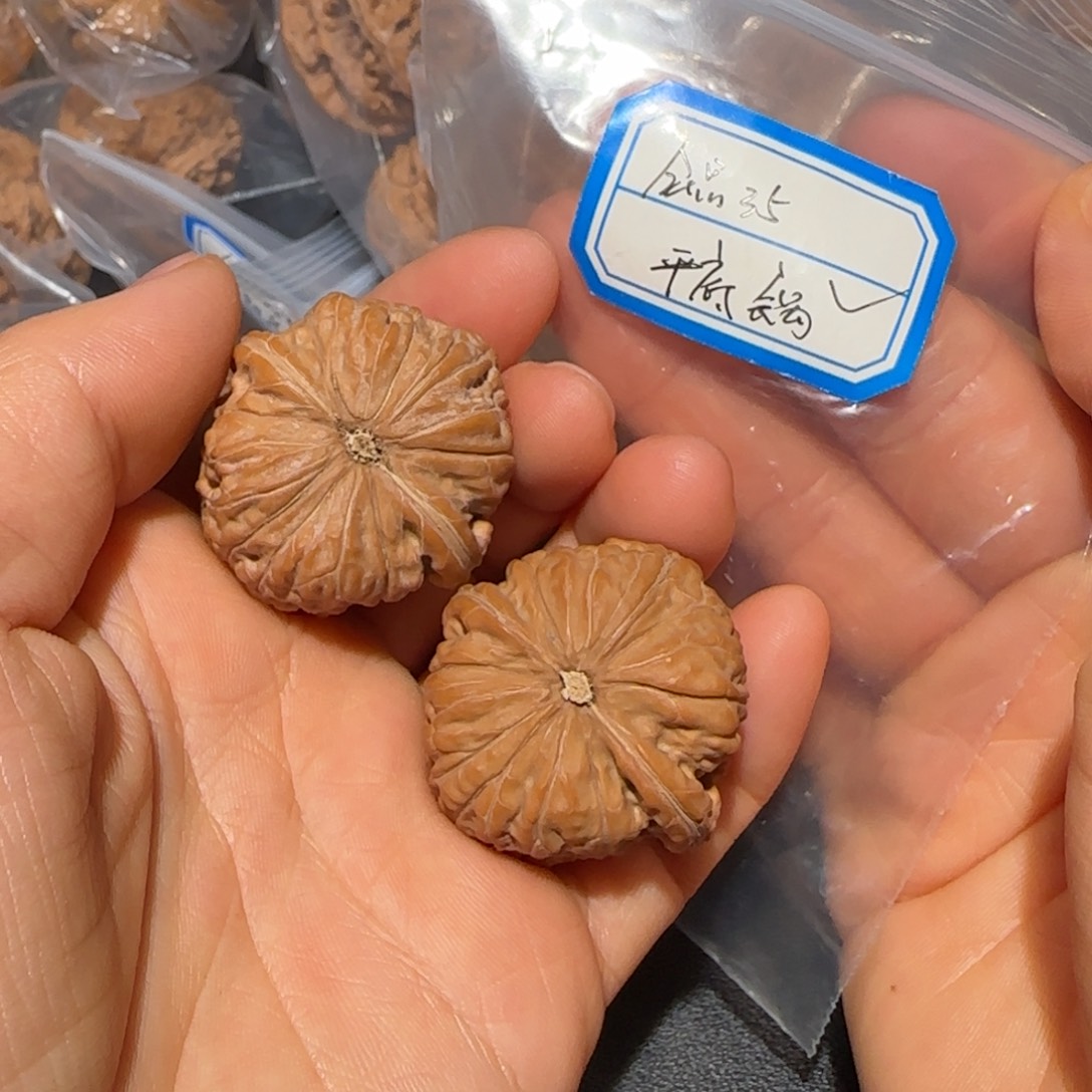 养***者吊坠文玩核桃飞飞飞飞飞飞