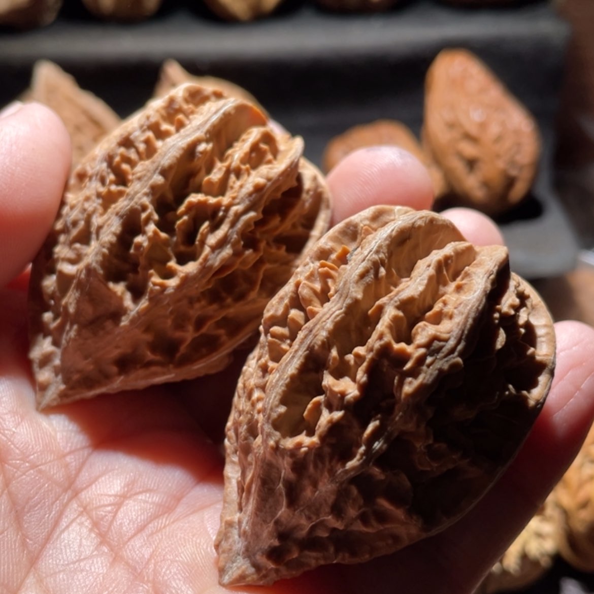 【闪购商品】文玩核桃把件相****）东北楸子91