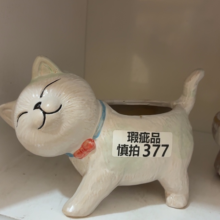 多肉花盆满15包邮