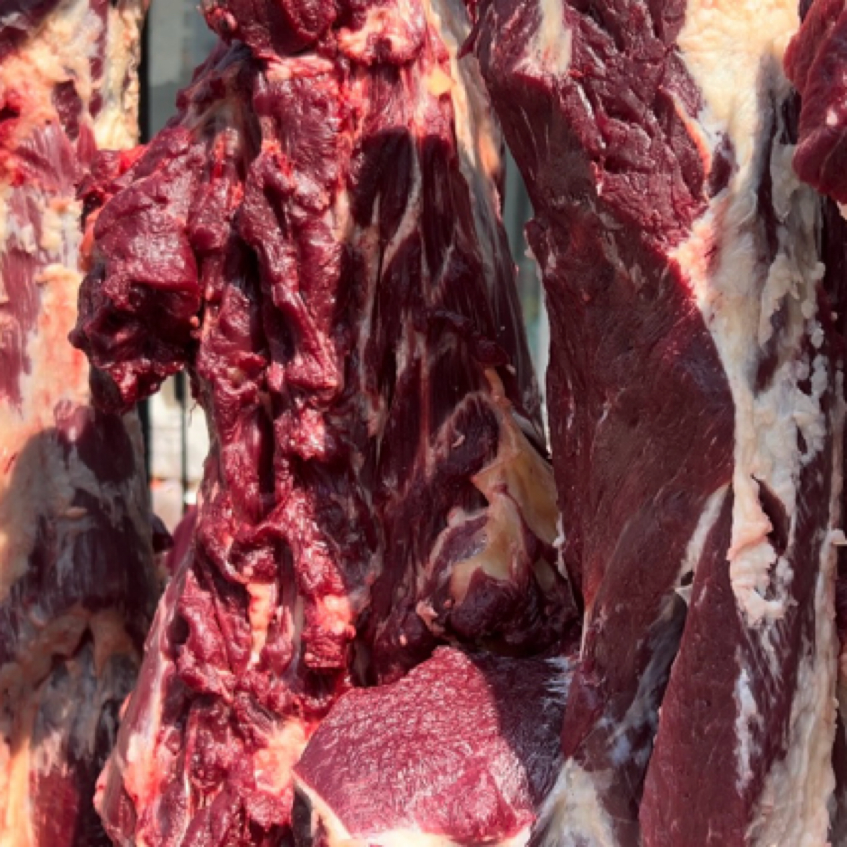 【抖音小时达】新鲜牛肉88/3斤