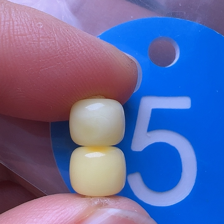 蜜蜡裸石未镶嵌7m m