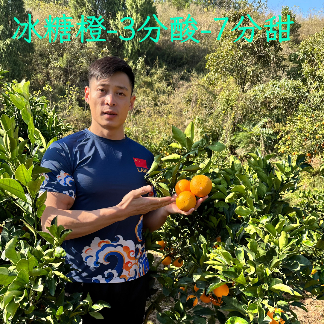 【冠军推荐】麻阳冰糖橙-8分甜2分酸-新鲜水果香甜多汁橙现摘现发