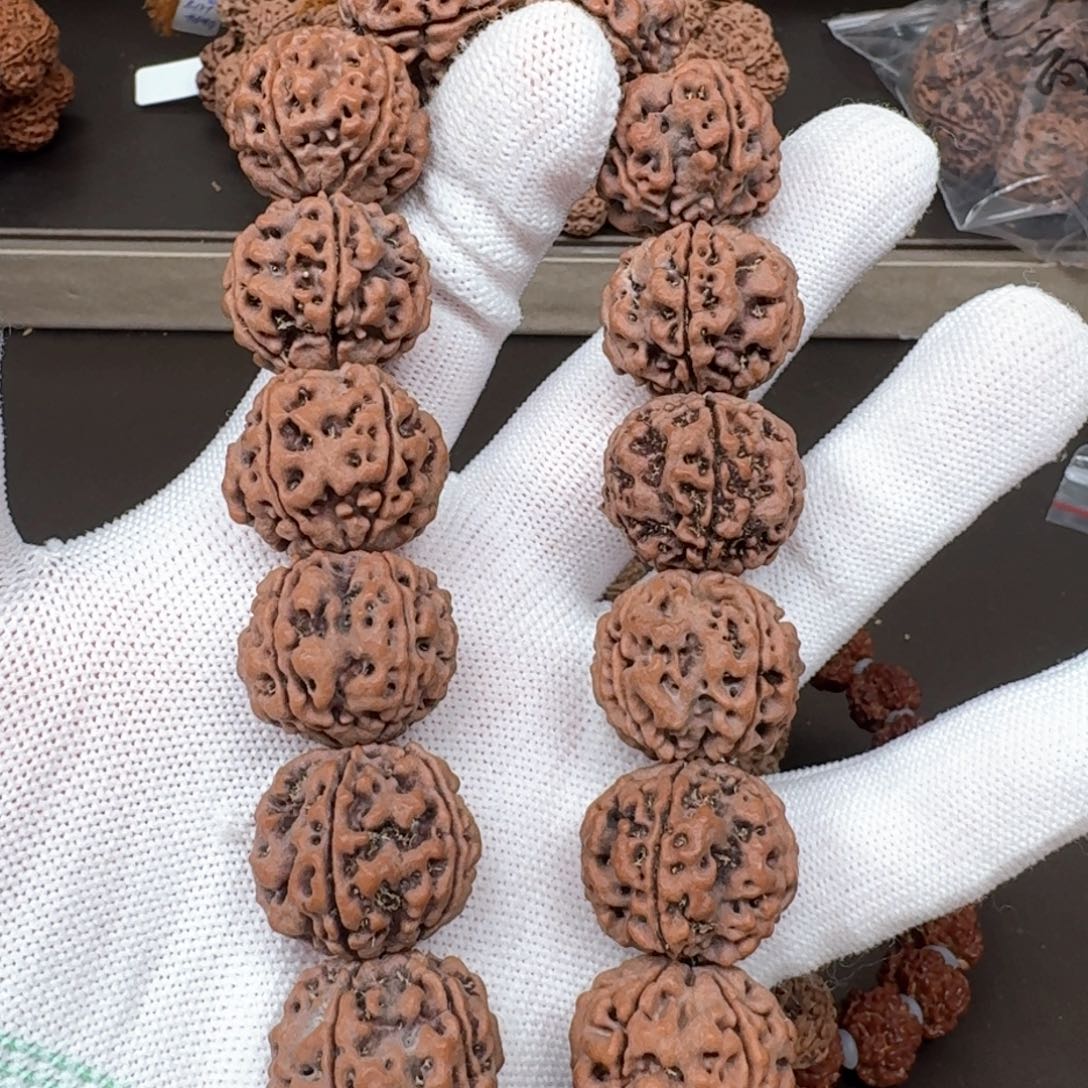 金刚菩提手串22+安娜铁籽