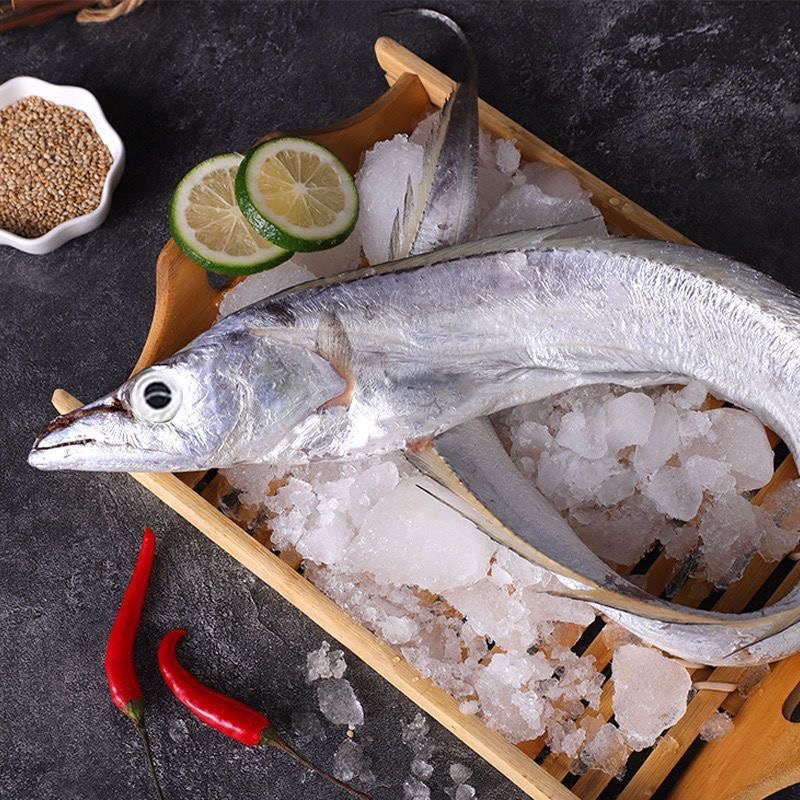 野生带鱼 惠来神泉港