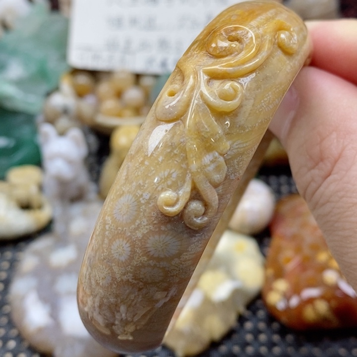 硅化珊瑚（珊瑚玉）颈饰未镶嵌58