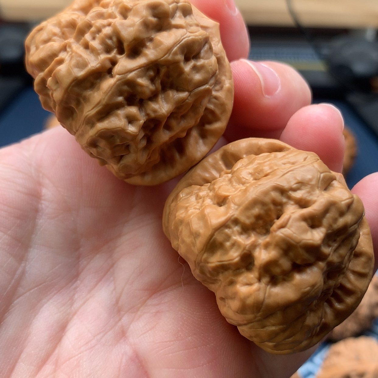 【闪购商品】文玩核桃把件蛤蟆头39