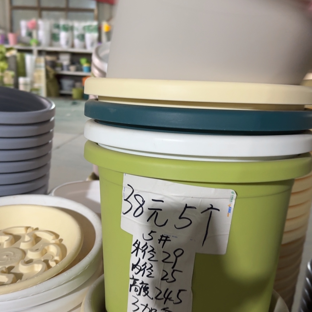 四季5#口径29带拖果绿10套