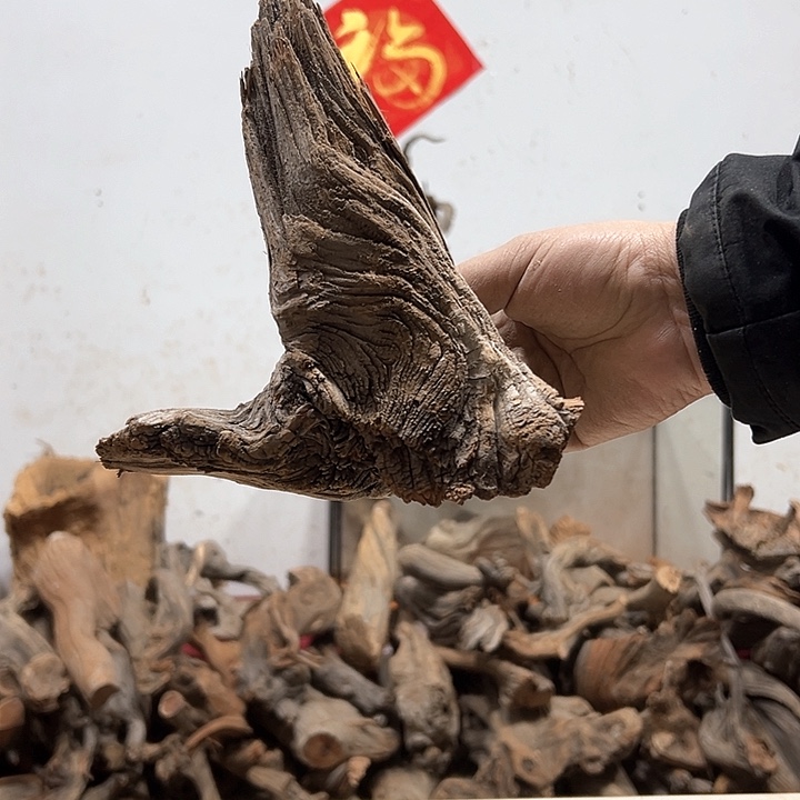 柏木硬**敵我们的生活也是