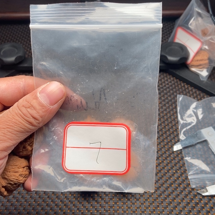 文玩核桃吊坠L***o41元宝