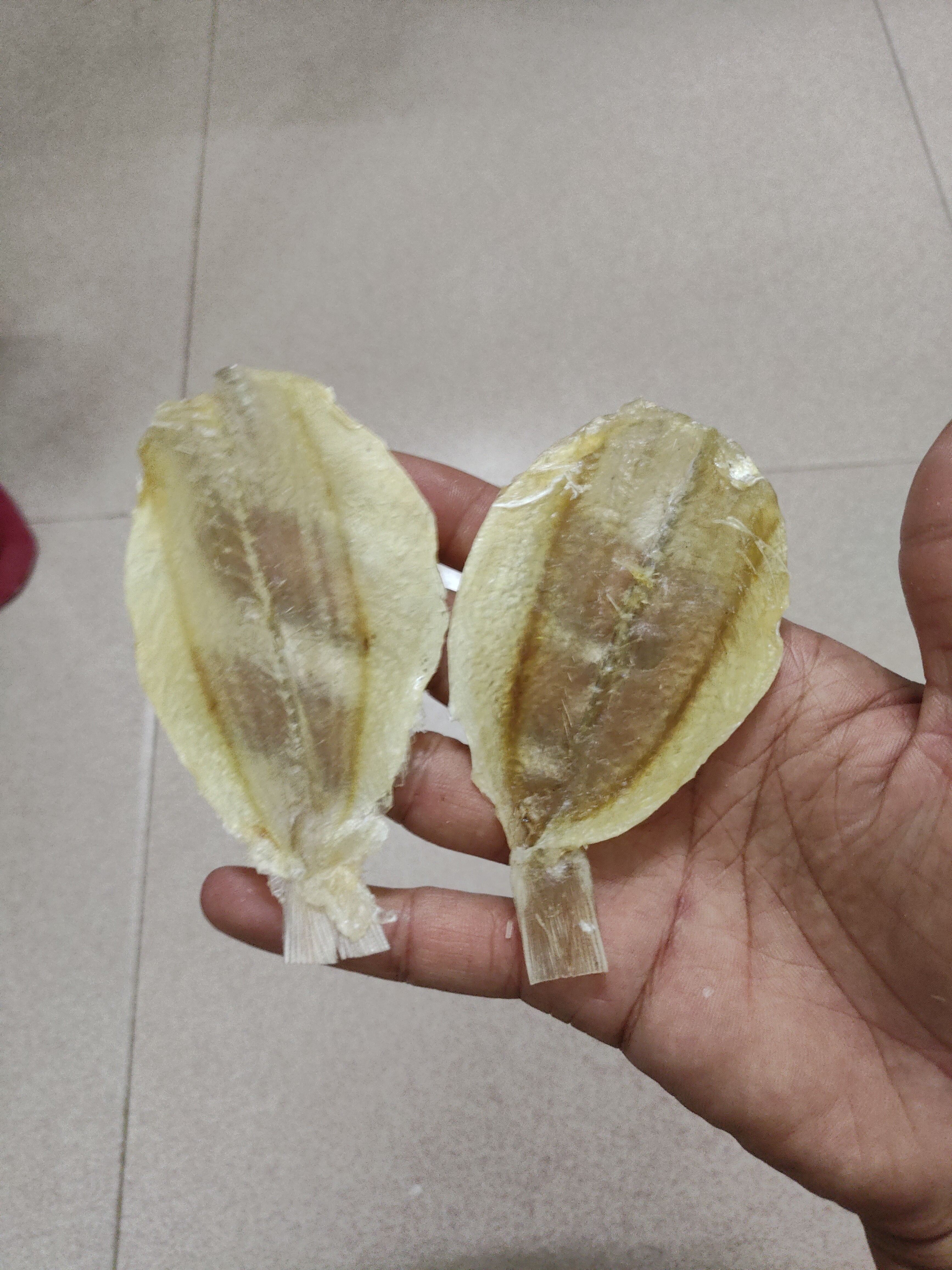 汕尾本港开心鱼鱼干