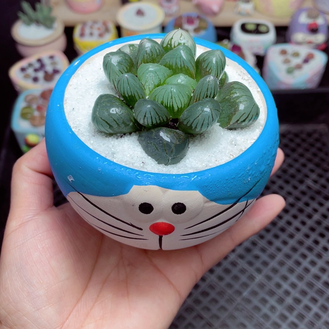 w5701 -零下地区拍保温箱-15支持寄养