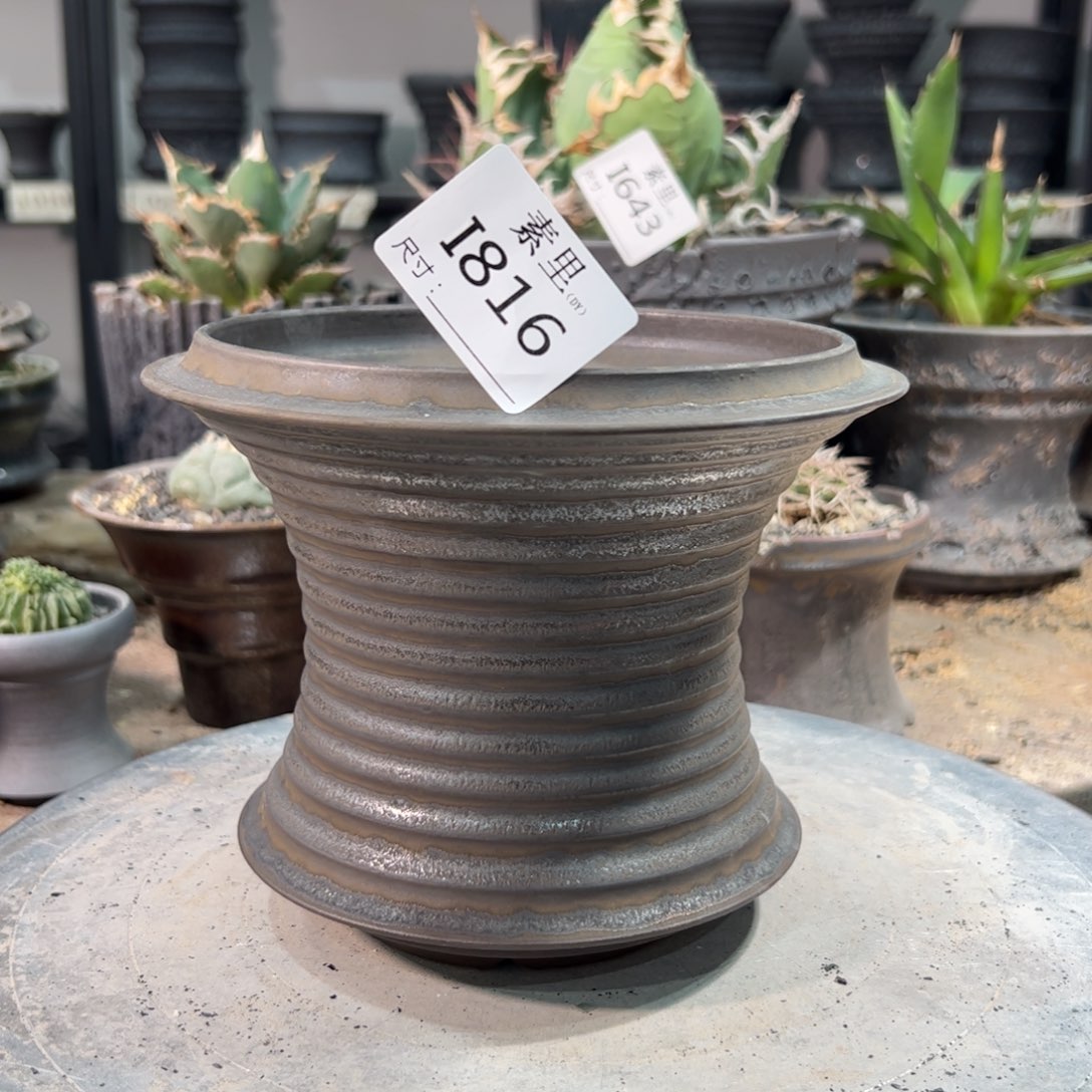 景德镇素里手工内口13.5高13