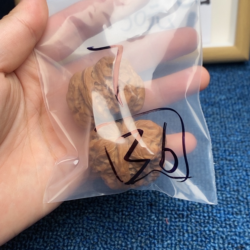 【闪购商品】哈哈哈哈哈哈哈哈哈哈哈