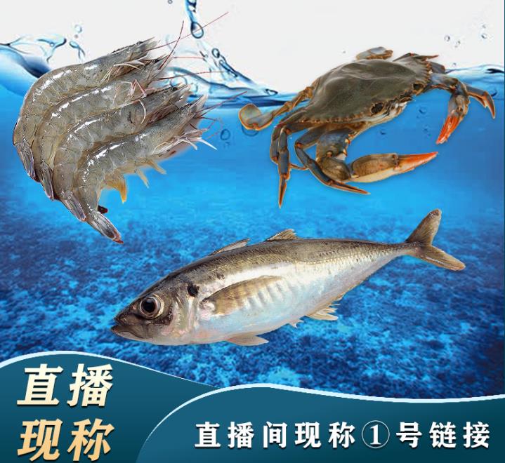 直播1号现称链接 顺丰新鲜发货到家