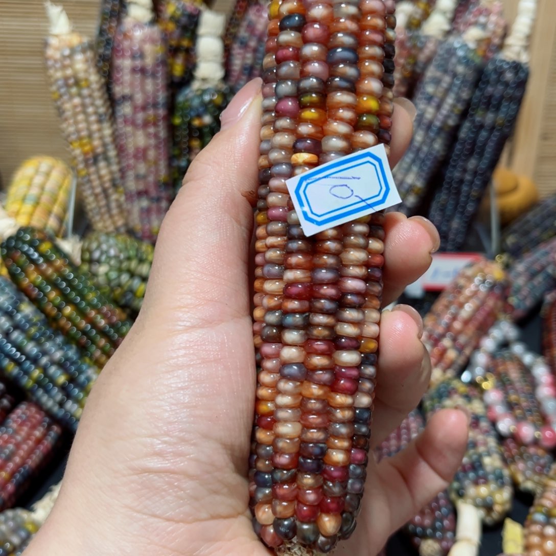 不***.直播间文玩玉米不退不换