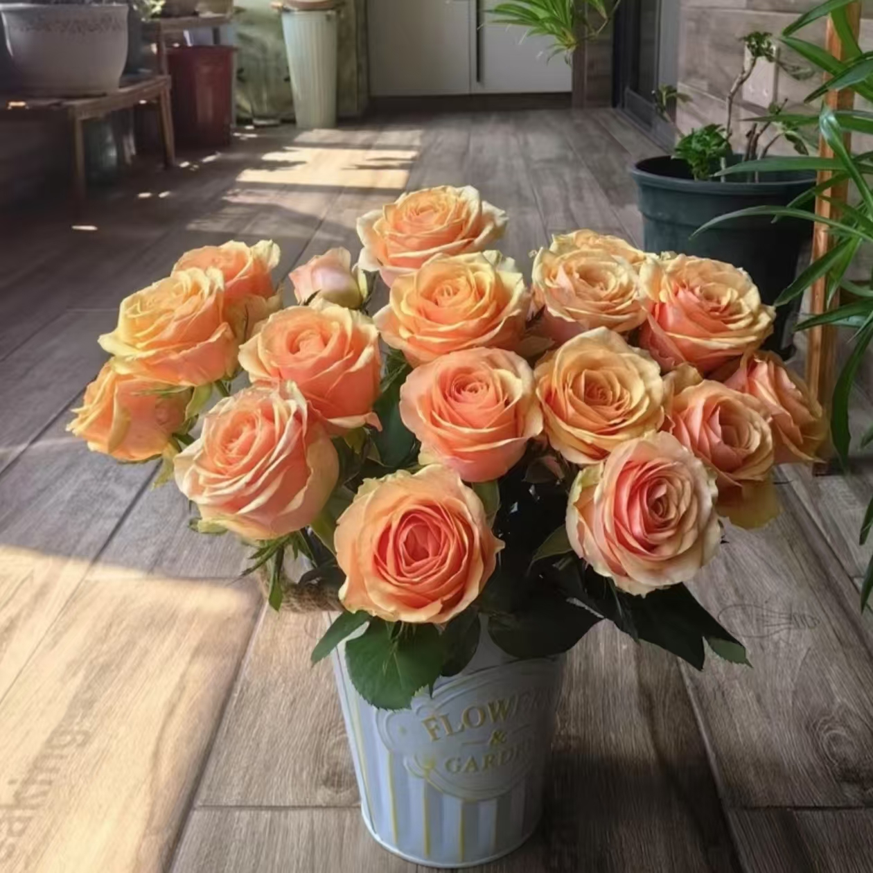 鲜花【迪薇娜玫瑰】家庭同地址两单顺丰或京东送货上门