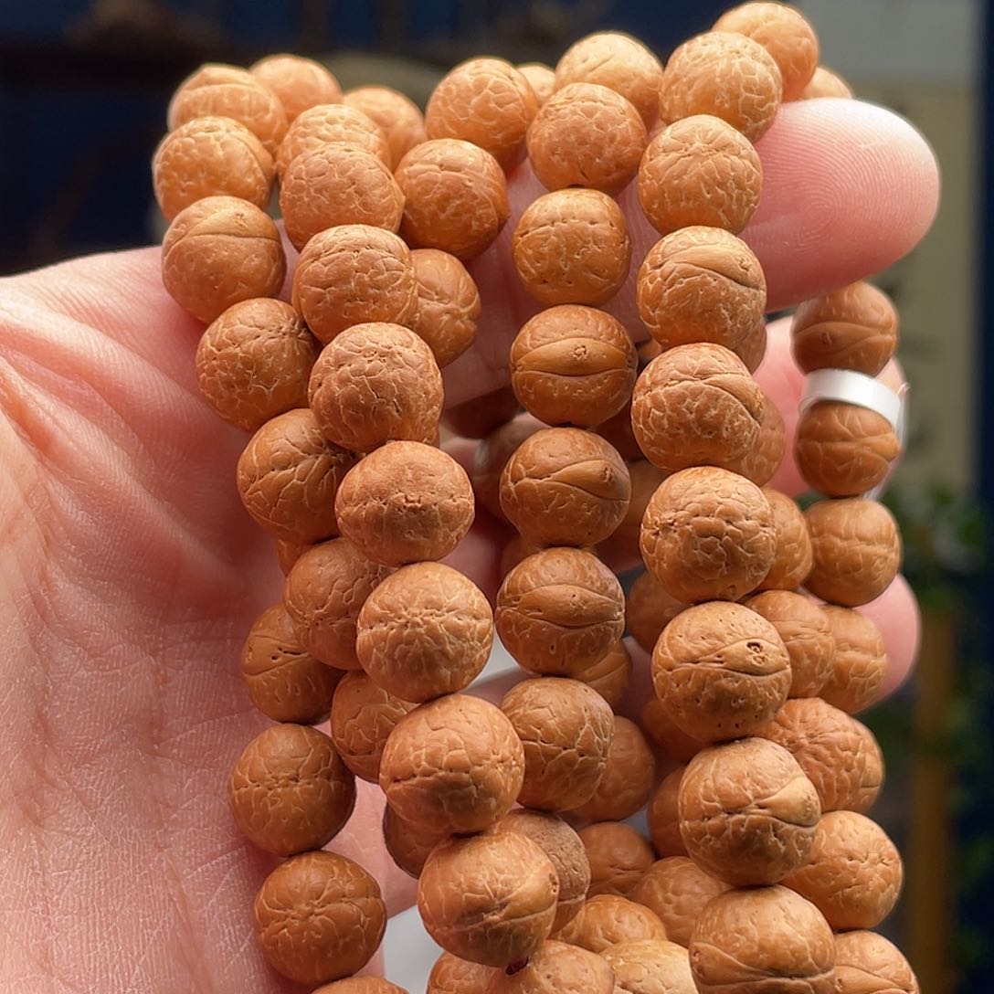 凤眼菩提吊坠仲*望菩提11