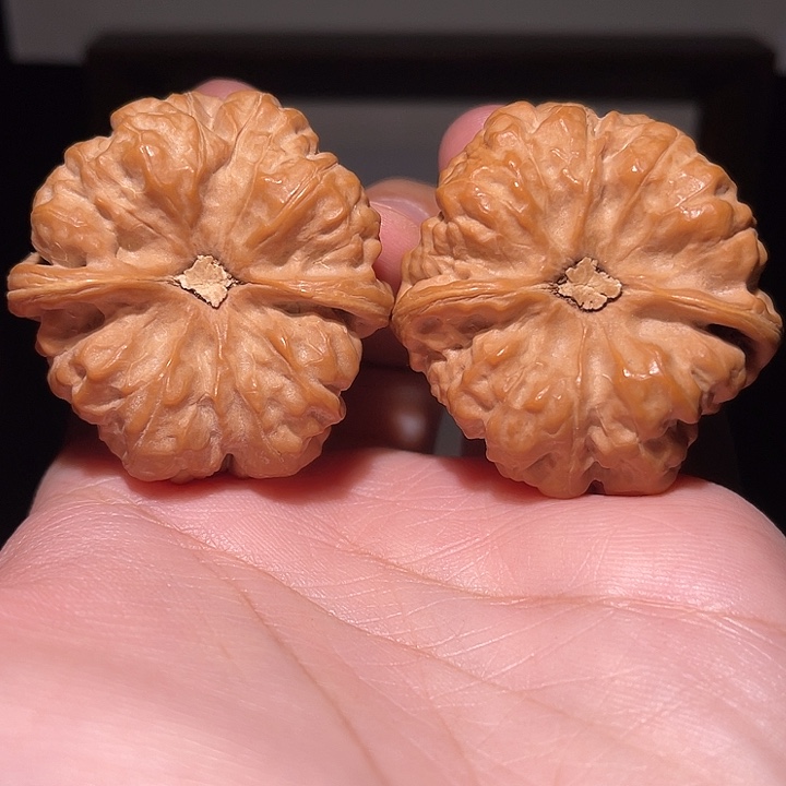 笑***湖核桃手串/手链43  龟背  