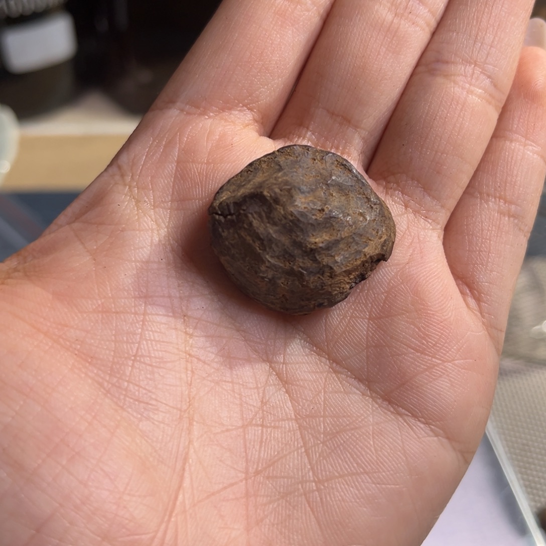 沉香越南富森黄土2.5克