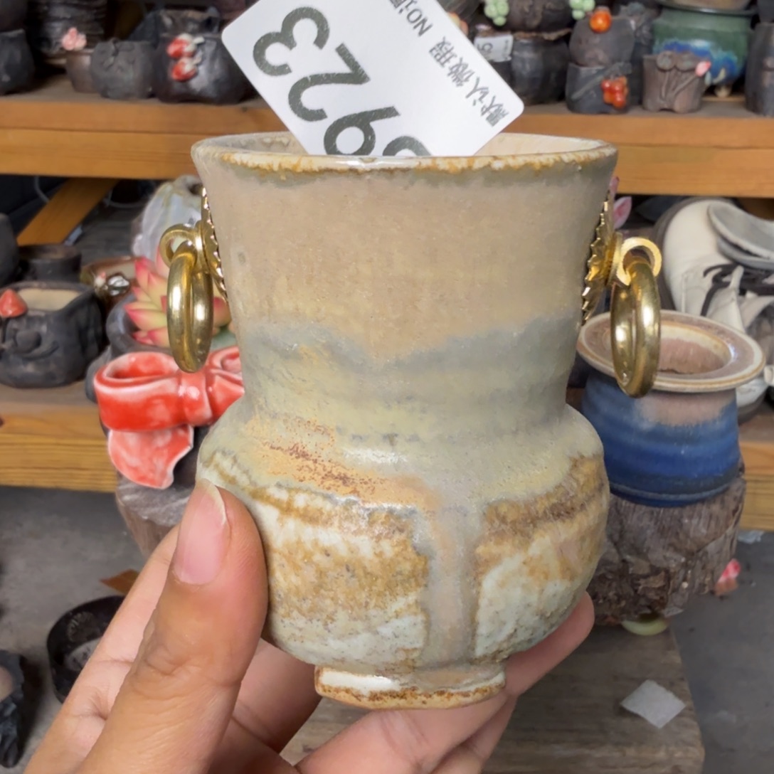 重庆小燕子欢迎大家923