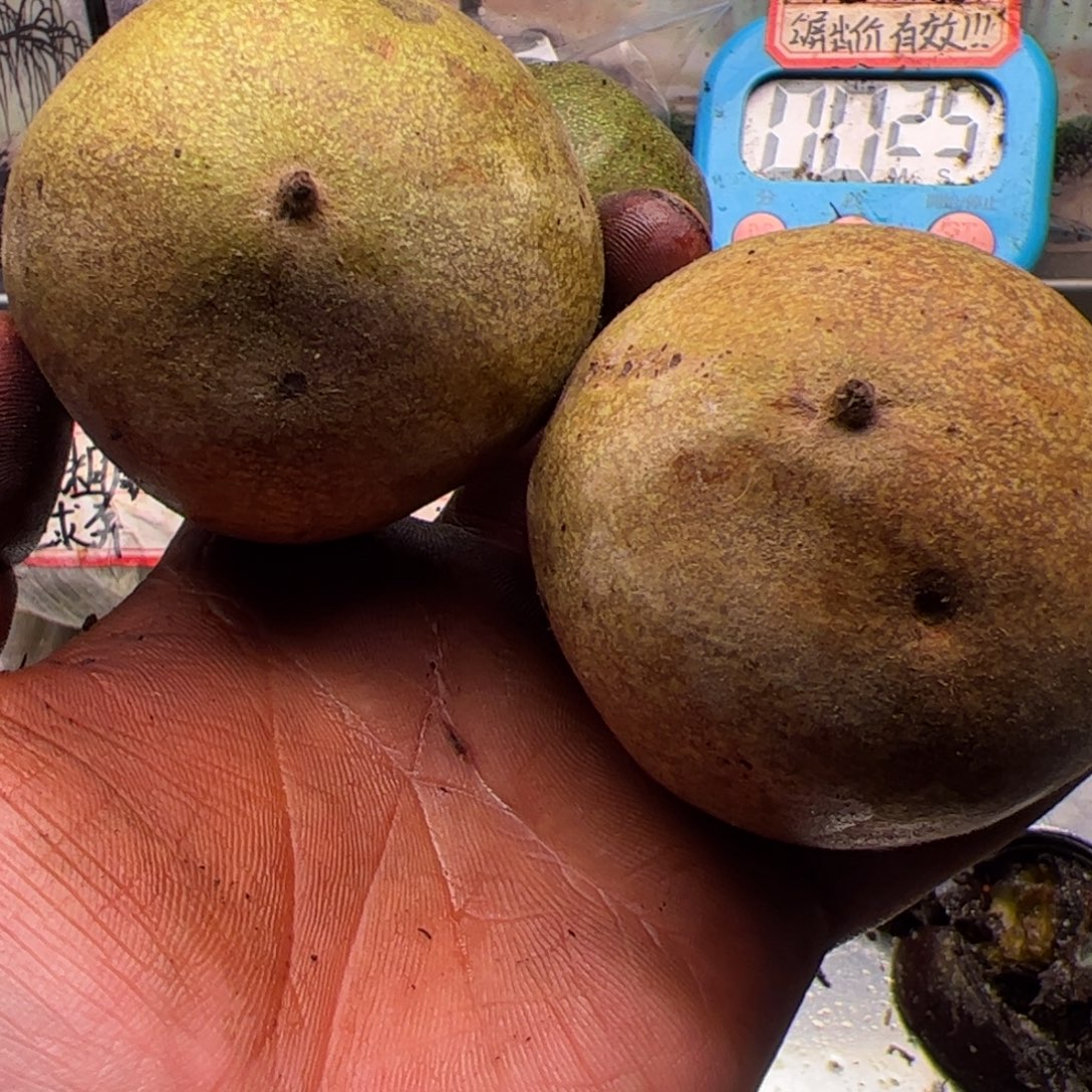 我***由来咯哦呜呜呜我想我吗