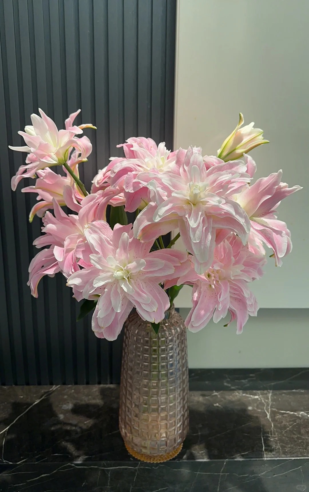 【莲花雅致百合】高品质重瓣百合 一单也包邮 发货后不支持退款