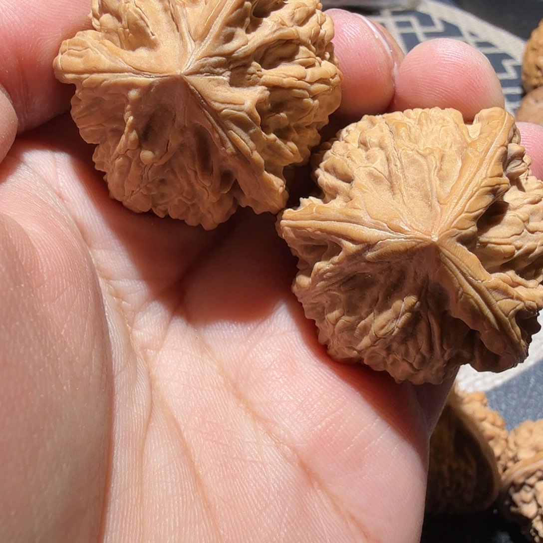 文玩核桃把件御龙
