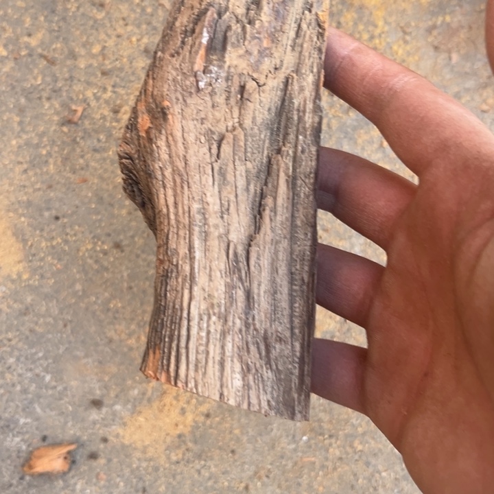 山***泉柏木南太行崖柏料头