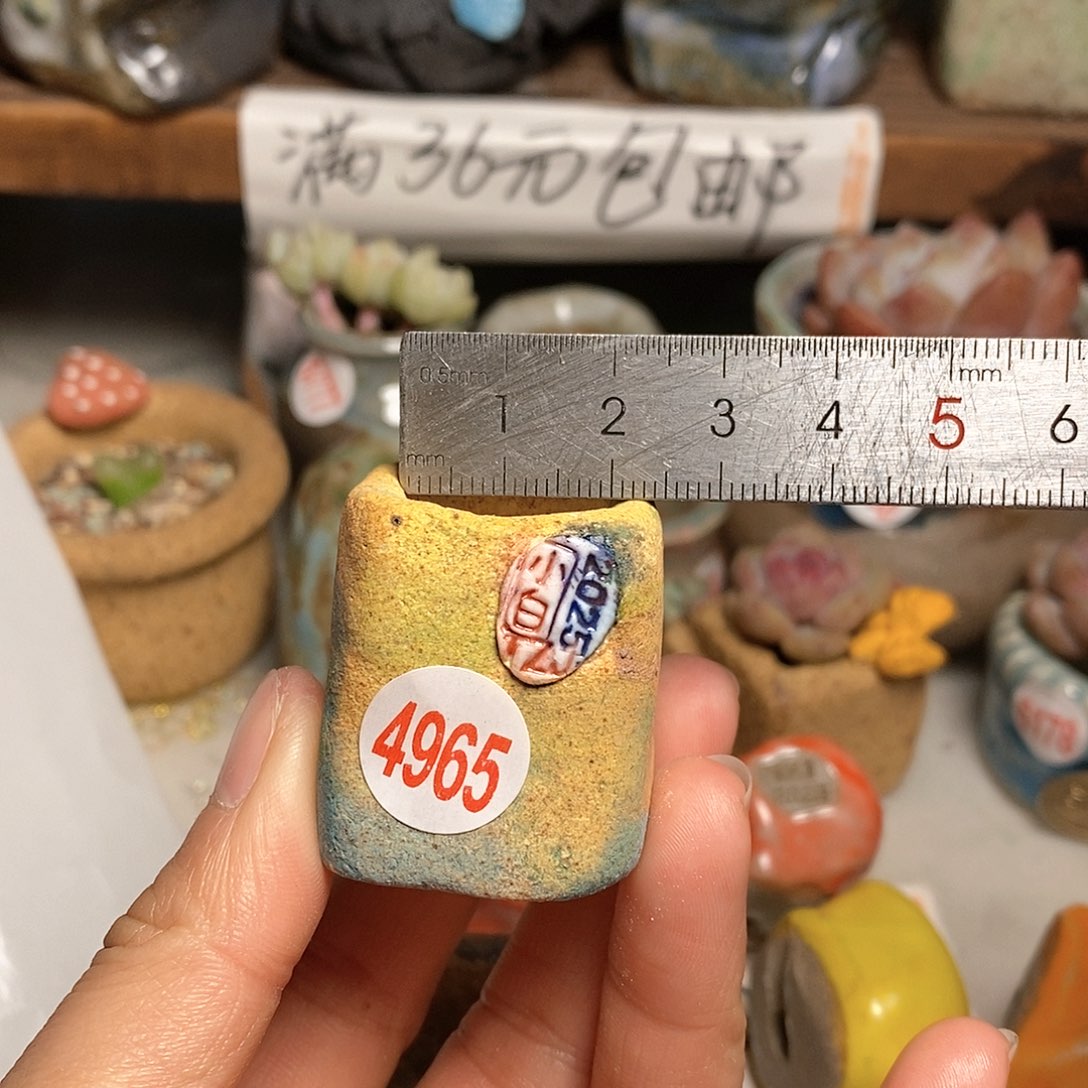 红陶拍5送一个小