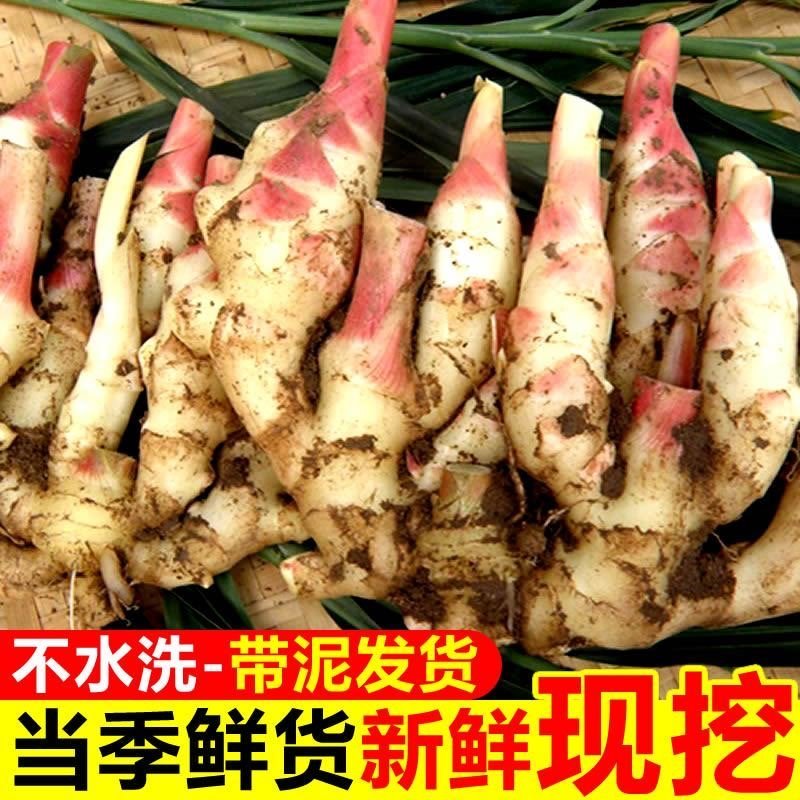 农家新鲜现挖红芽嫩姜可用于泡姜糖醋姜