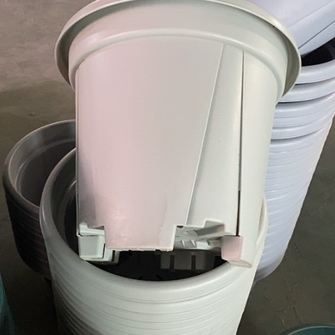 树脂青山7号5个无托灰白