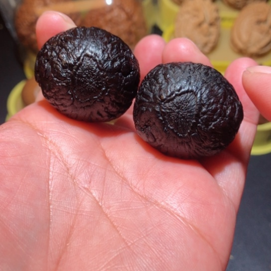 文玩核桃把件黑龙菩提