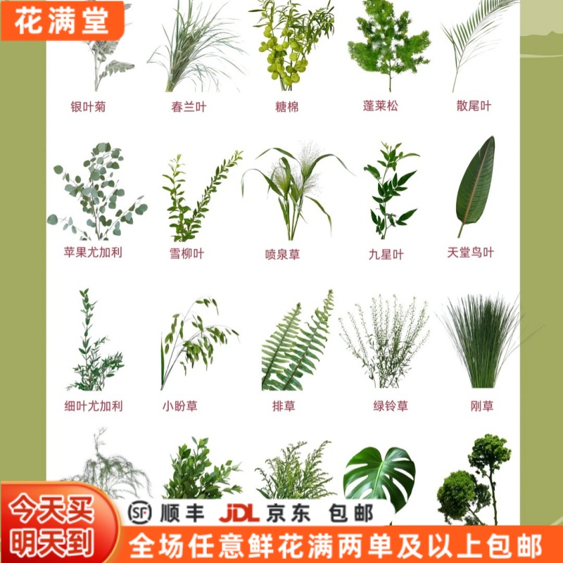 【次日达·随机配草10枝】随机配草不指定·和鲜花一起拍·鲜花搭子·全场两单鲜花顺丰包邮·三单送花瓶·云南鲜切花