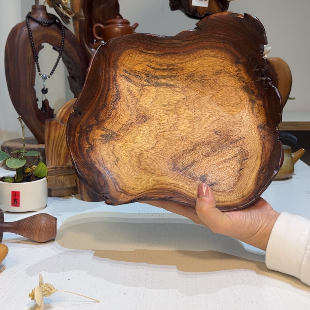 *****香樟木多多关注我们