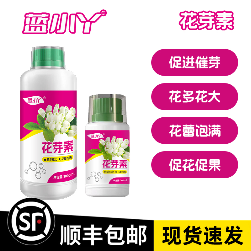 蓝小丫花芽素花芽增多促花坐果打破休眠花芽分化阳台蓝莓植物肥料