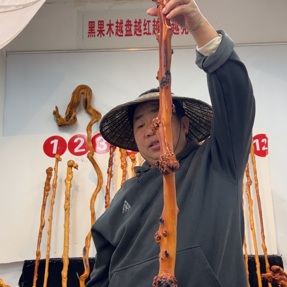 西***弟其他黑果木黑果木896