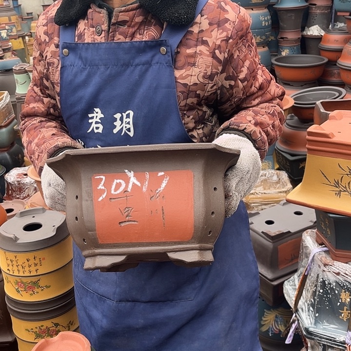 紫砂花盆中花鸟等花卉