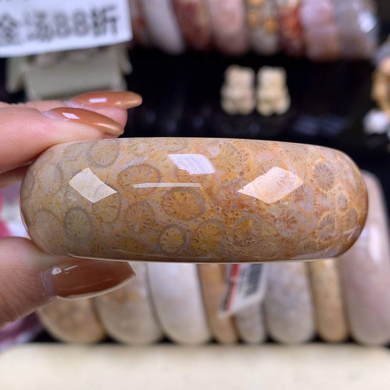 【闪购商品】颈饰未镶嵌硅化珊瑚（珊瑚玉）金皮花55.3（9号）