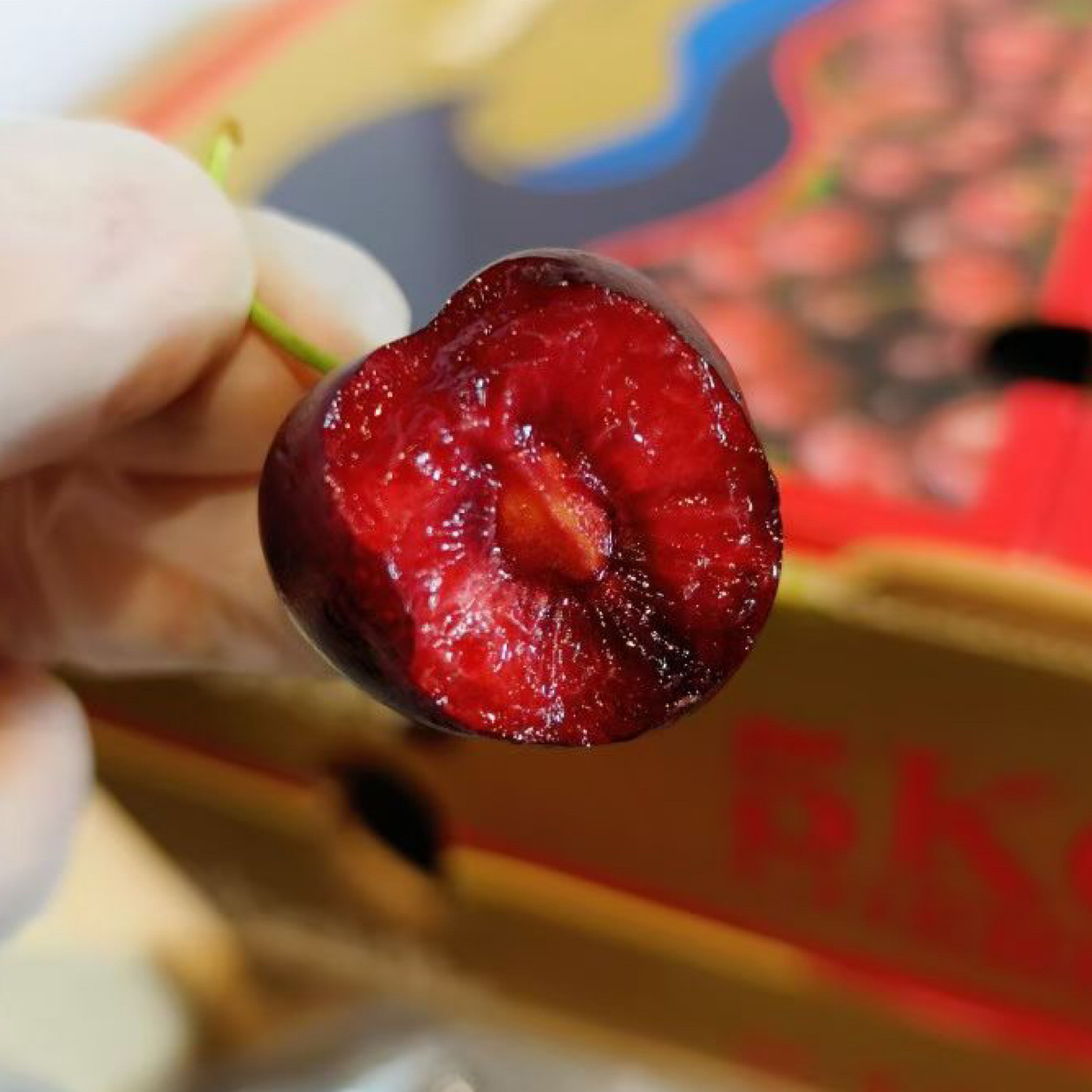 空运桑缇娜车厘子J-5J内附果径卡车厘子哈尔滨