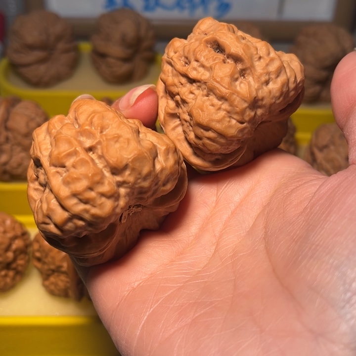 核桃蛙蛙蛙蛙44不足尺。。。。。。