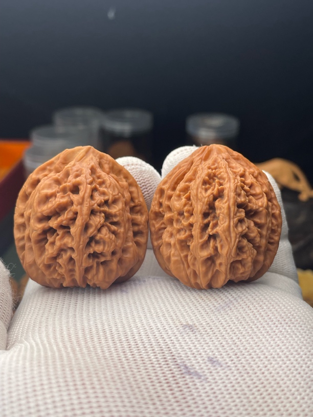 41全品原桩无药八筋聚顶大粗筋文玩核桃