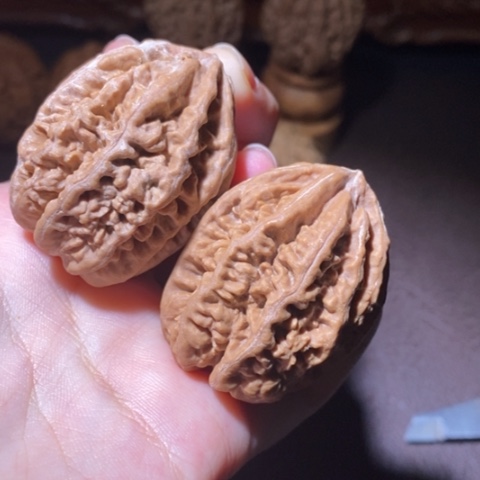 把件文玩核桃东北野生楸子小园 140