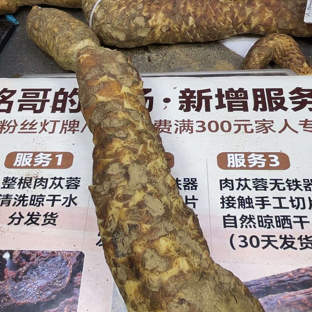 中国大陆500克老根