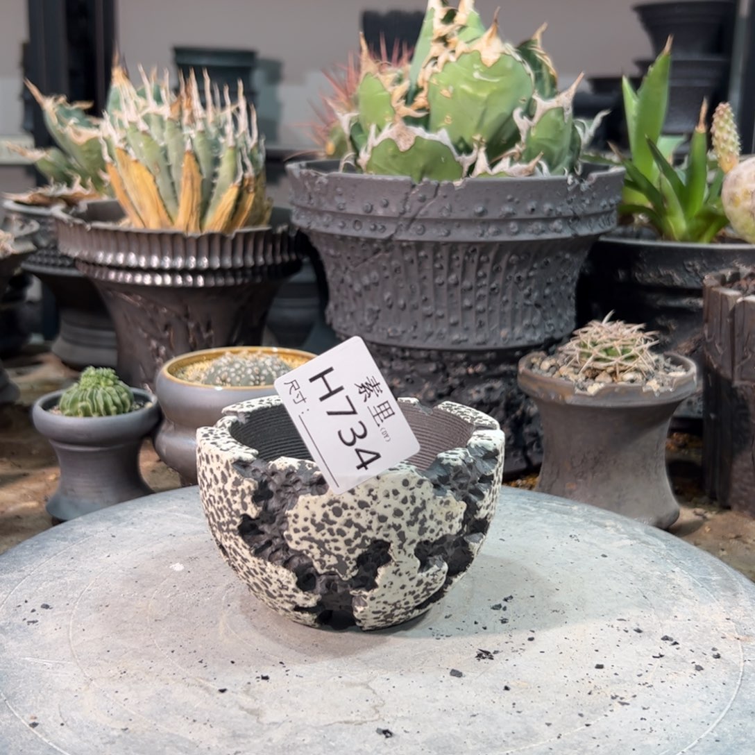 景德镇手工素里内口8.5高6.5